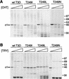FIG. 6