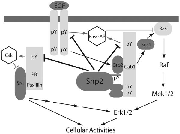 Fig. (6)