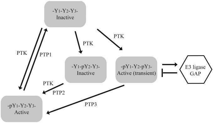 Fig. (1)