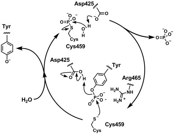 Fig. (3)