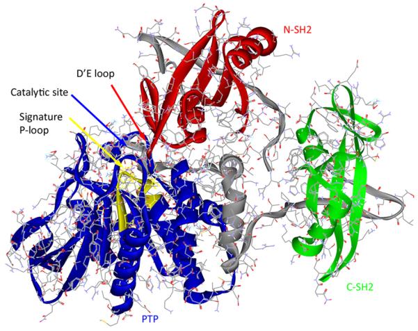 Fig. (4)