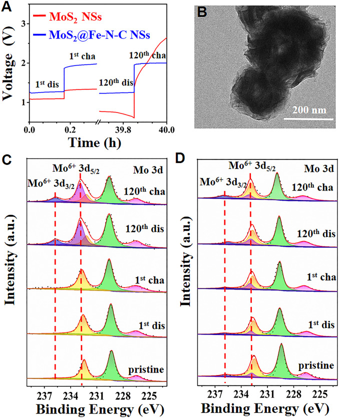 Fig. 4.