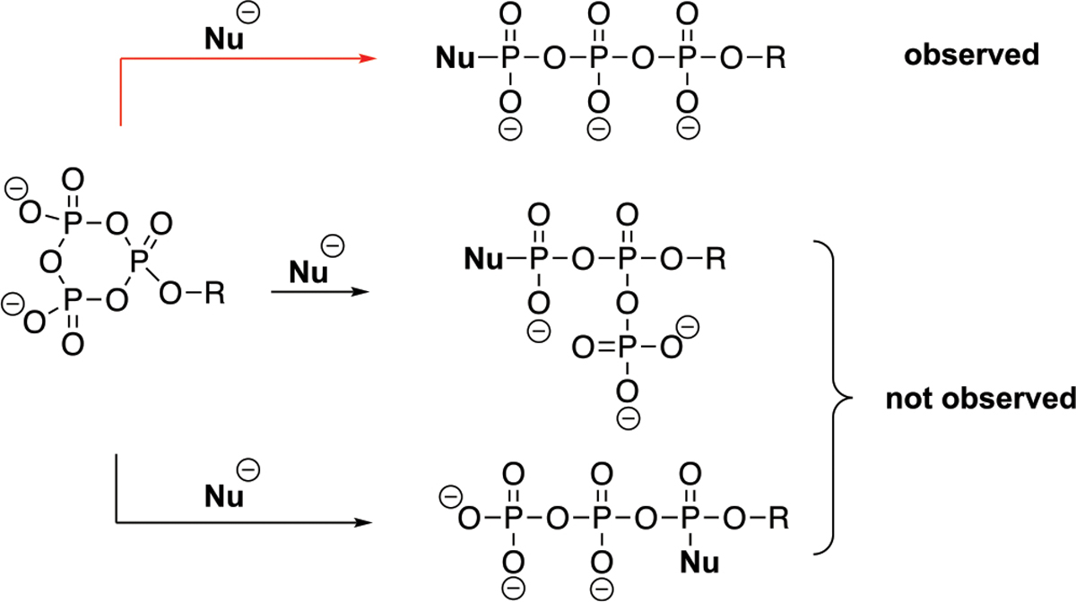 Scheme 2.