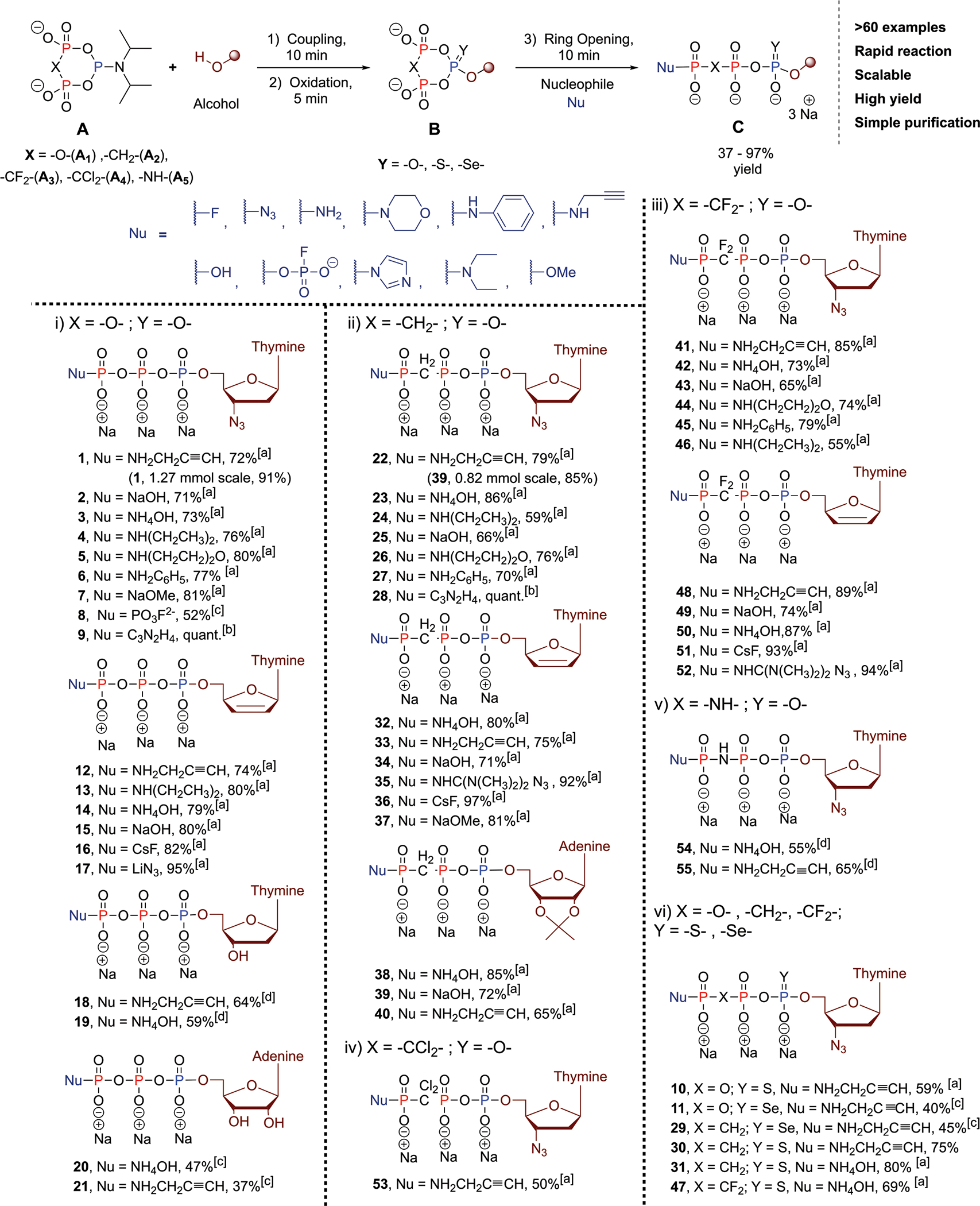 Scheme 3.