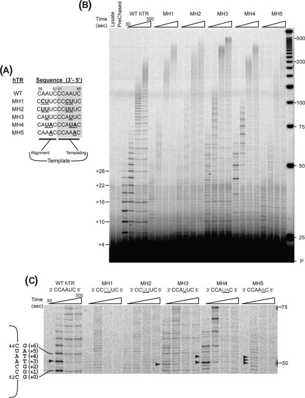 Figure 6.