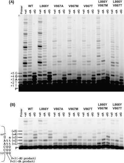 Figure 7.