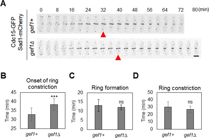 FIGURE 4: