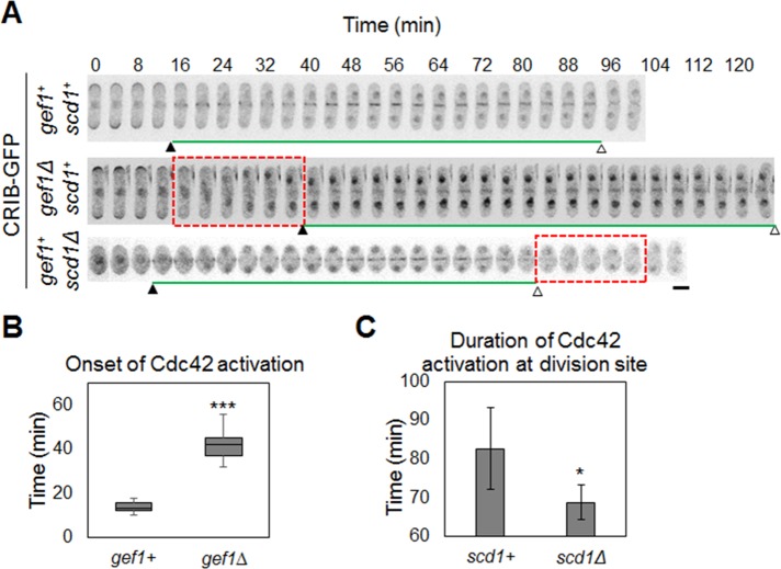 FIGURE 2: