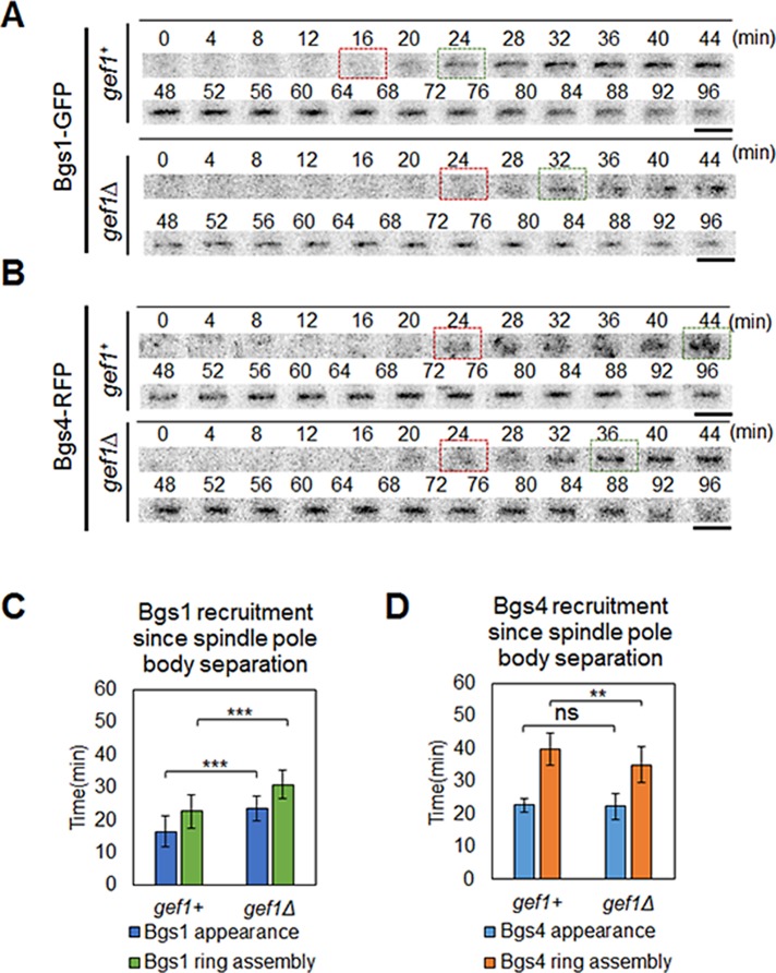 FIGURE 7: