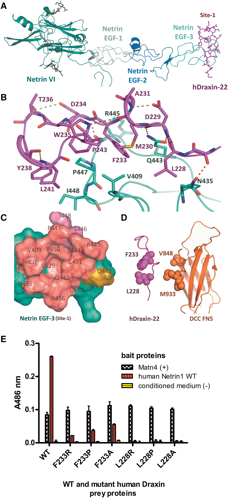 Figure 3