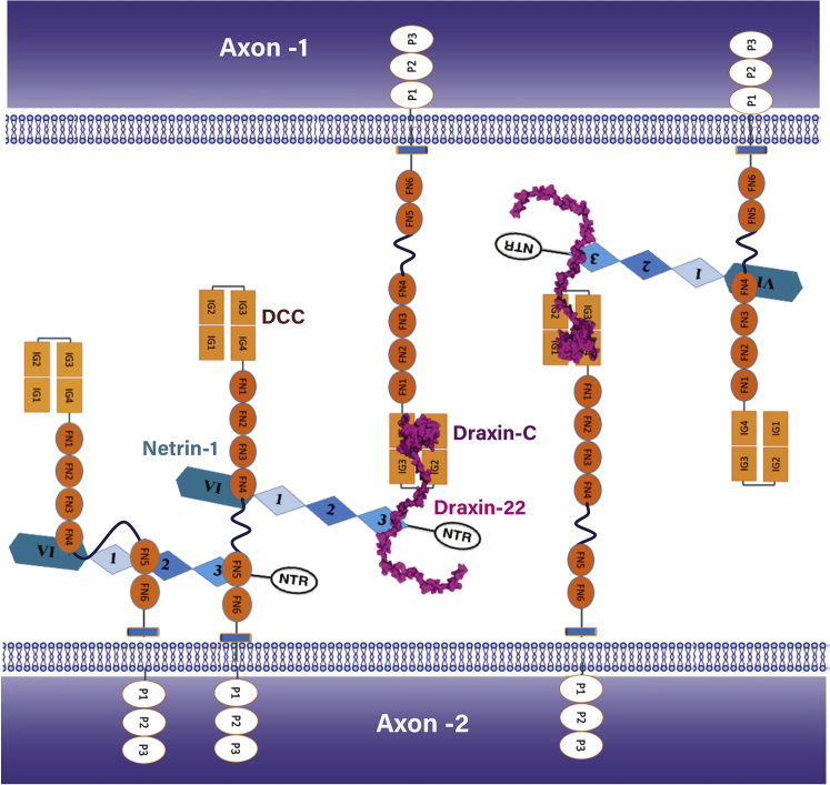 Figure 4