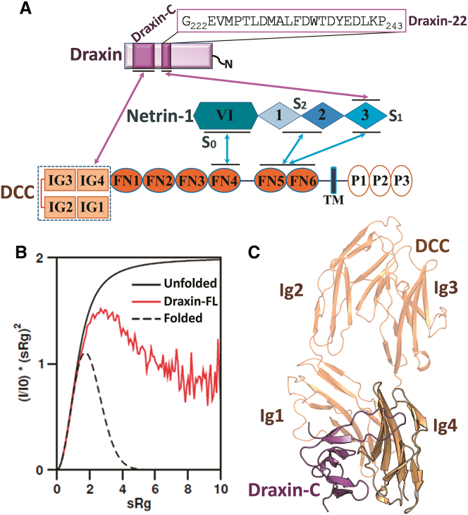 Figure 1