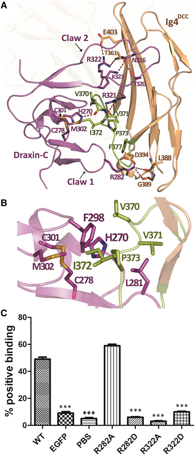 Figure 2