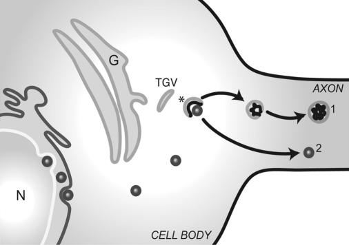 FIG. 8.