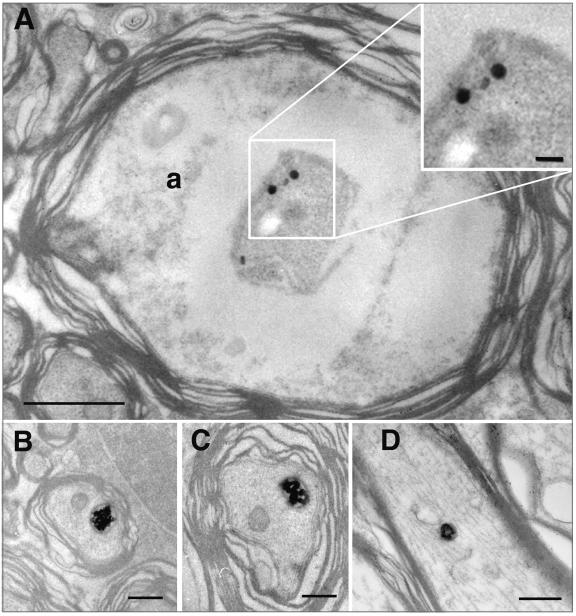 FIG. 6.