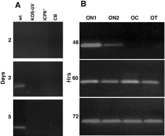 FIG. 5.