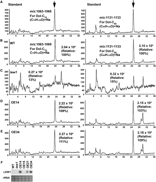 Figure 5.