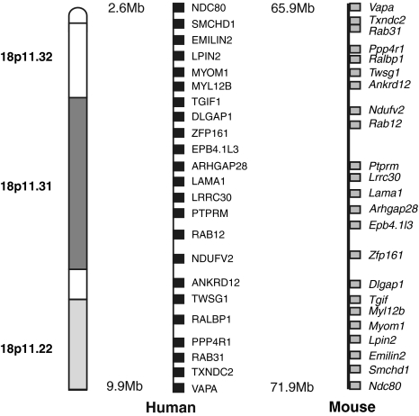 Fig. 1