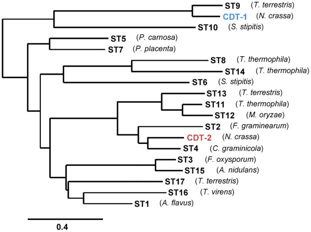 Fig 1