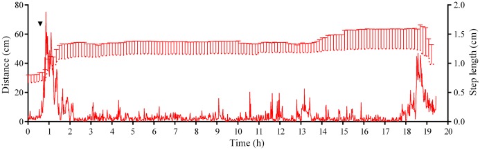 Figure 10