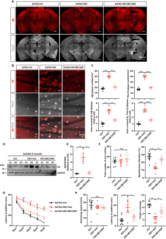 Fig. 10