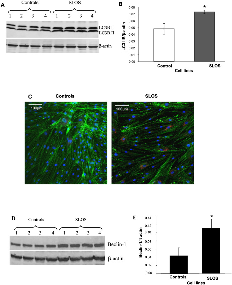 Fig. 3