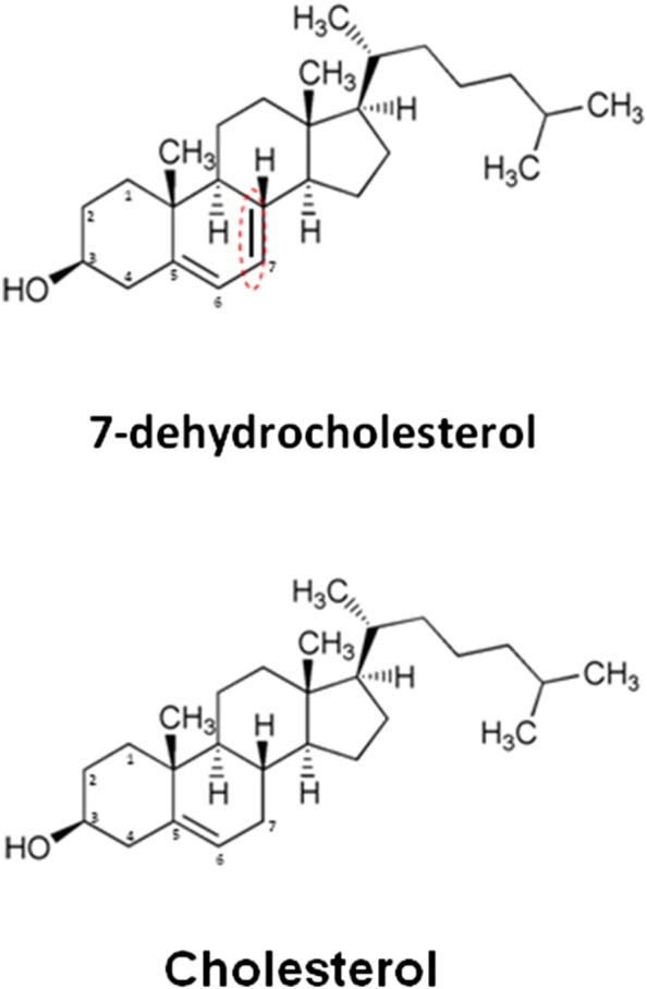 Fig. 1