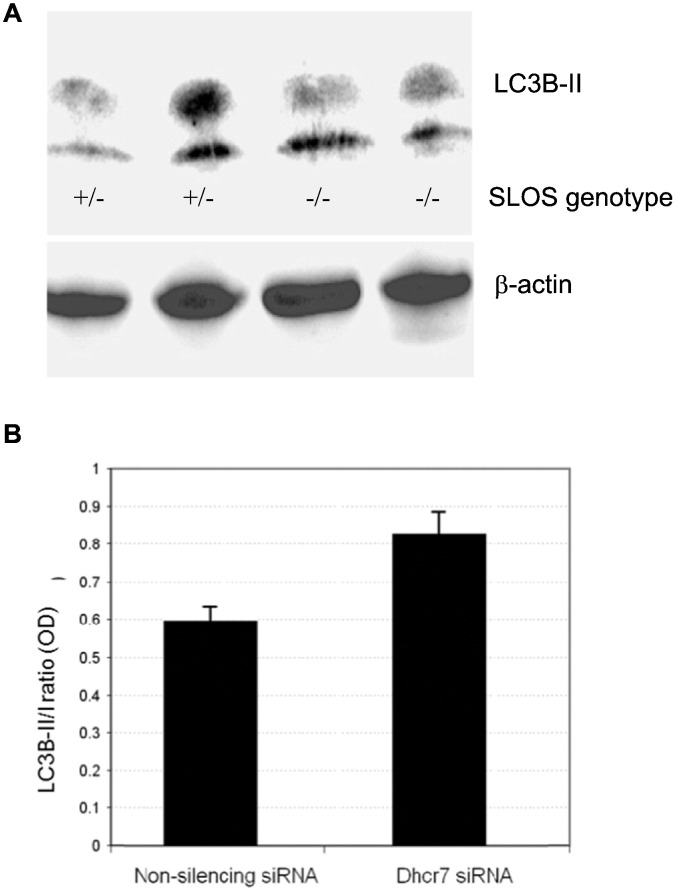 Fig. 8