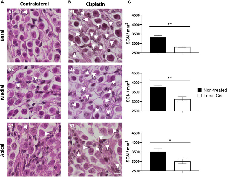 FIGURE 3