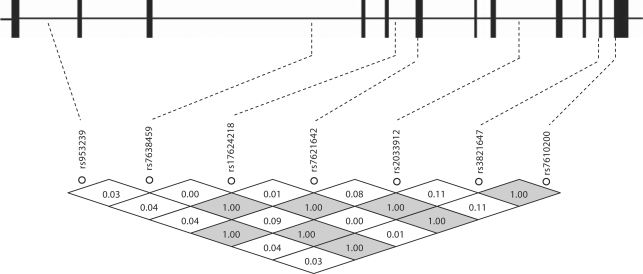 Fig. 1.