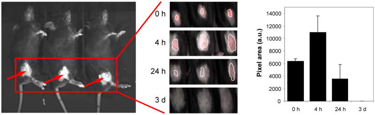 Fig. 4