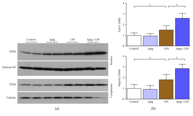 Figure 9