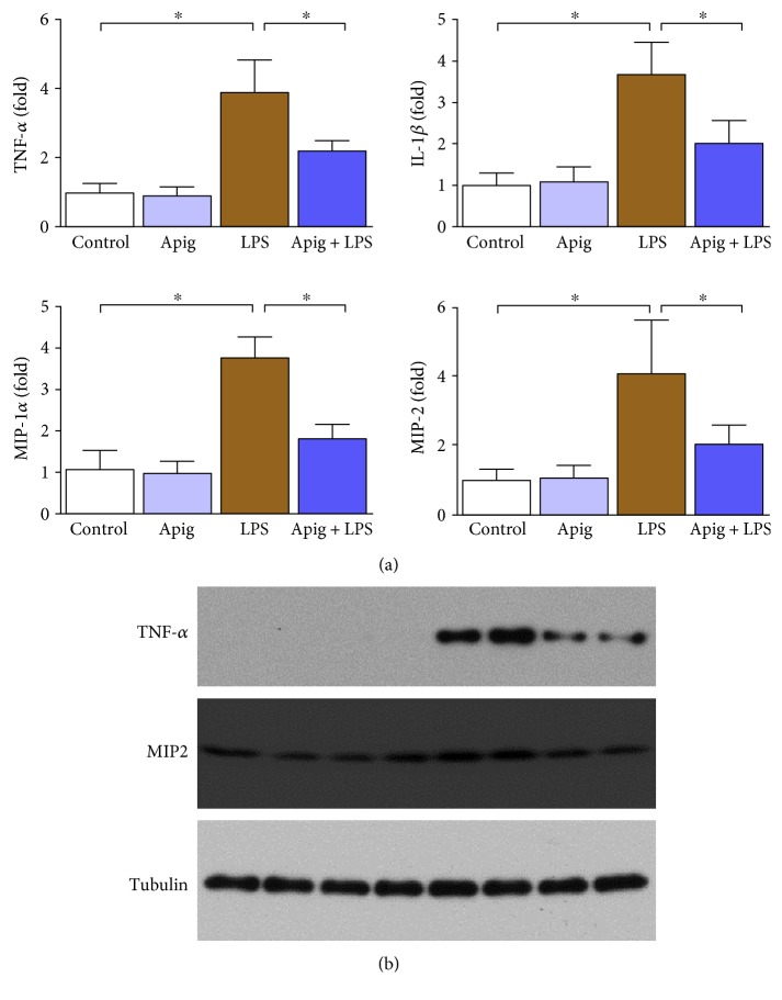 Figure 5