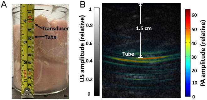 Figure 7