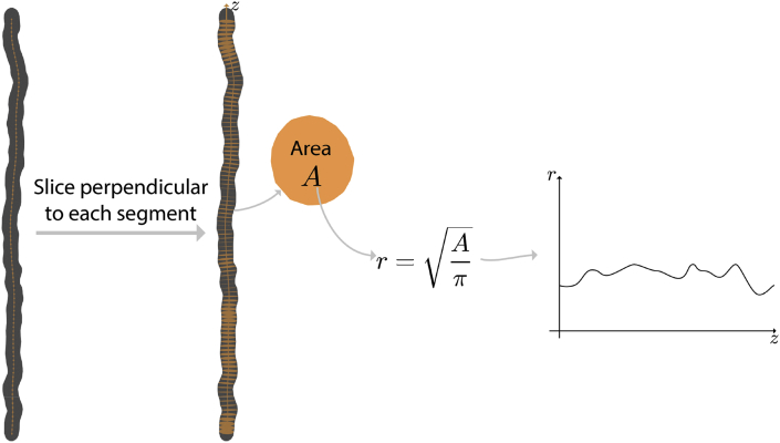 Fig. 9