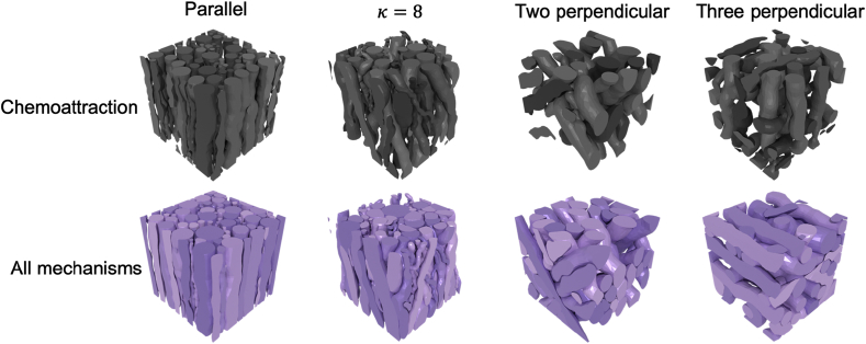 Fig. 12