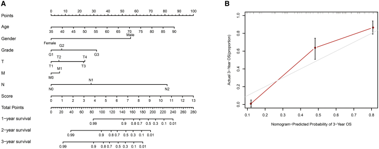 Figure 6