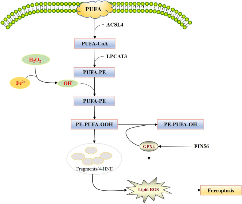 Figure 2