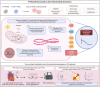 Graphical Abstract