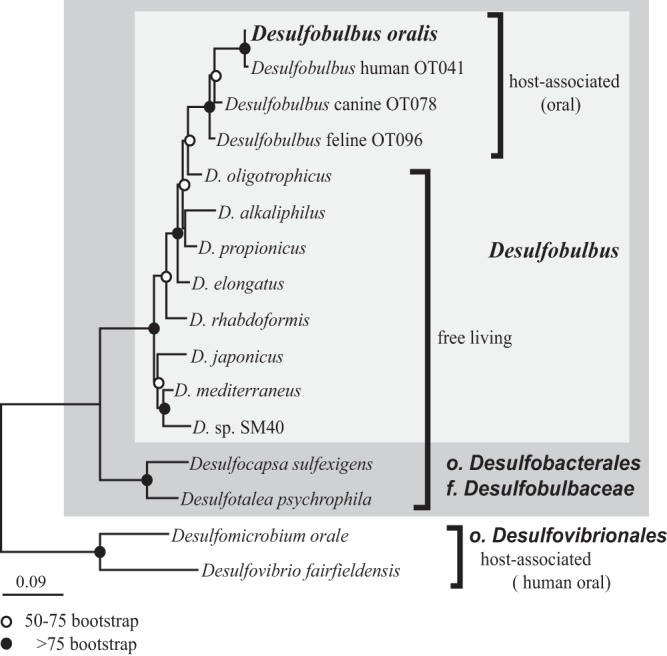 FIG 3 