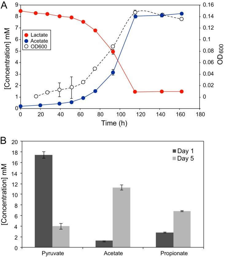 FIG 2 