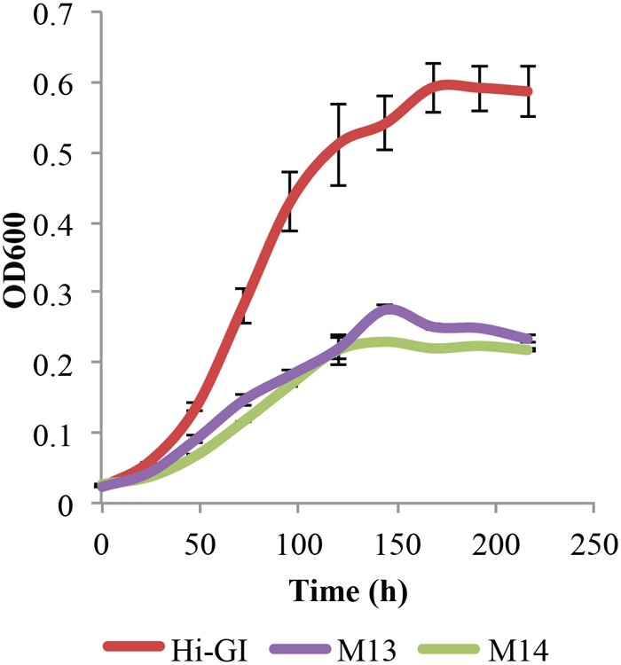 FIGURE 3