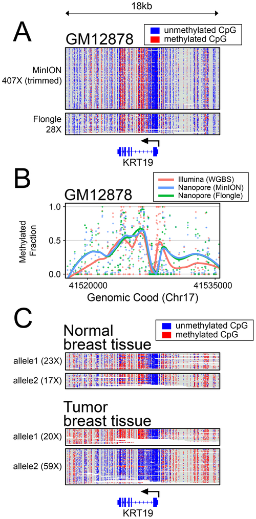 Figure 3 -