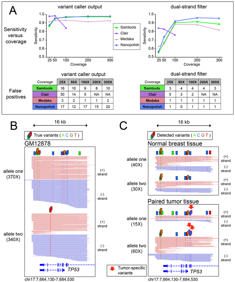 Figure 2 -