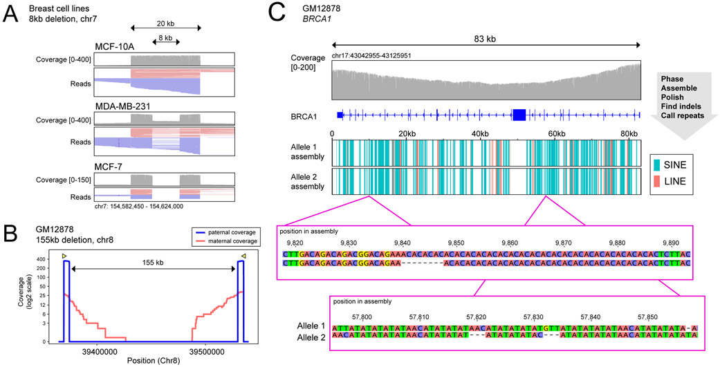 Figure 4 -