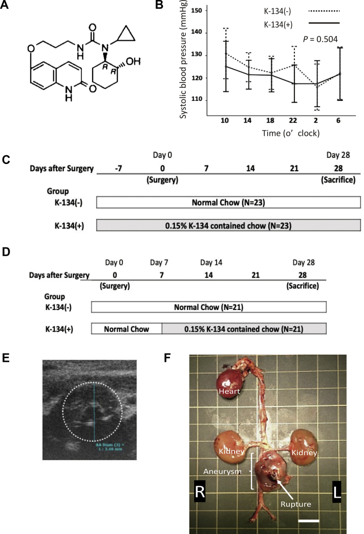 Fig 1