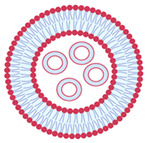graphic file with name nanomaterials-13-01557-i021.jpg
