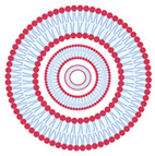 graphic file with name nanomaterials-13-01557-i020.jpg