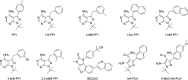 Figure 2—figure supplement 4.