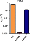 Figure 2—figure supplement 2.